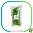 Organic Sawtooth (Mexican Coriander)