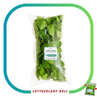 Organic Spearmint