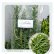 Wild Arugula 50g