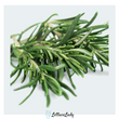 Organic Rosemary