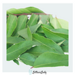 Organic Curry Leaves
