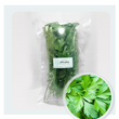 Organic Italian Flat Parsley