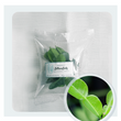 Organic Kaffir Lime Leaves