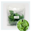 Organic Sweet Basil